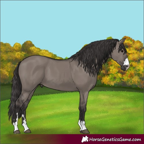 Horse Color:Smoky Grullo