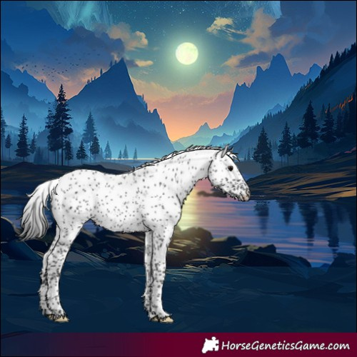 Horse Color:Black Sabino 