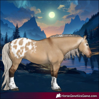 Horse Color:Gray Silver Bay Dun Tobiano Appaloosa 
