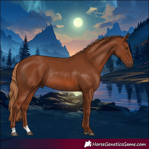 Horse Color:Chestnut Rabicano 