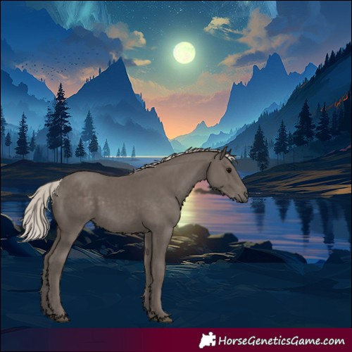 Horse Color:Silver Black 
