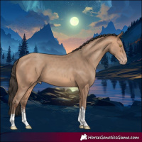 Horse Color:Amber Champagne Sabino Tobiano 