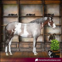 Horse Color:Liver Chestnut Sabino Snowflake Varnish