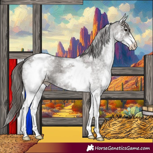 Horse Color:White Spotted Grullo Varnish 