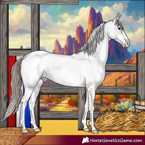 Horse Color:White Spotted Grullo Appaloosa 