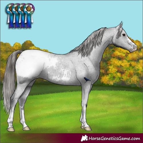 Horse Color:Black Snowcap 