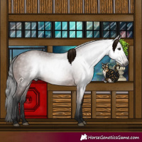 Horse Color:Gray Bay