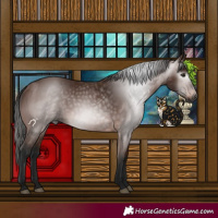 Horse Color:Gray Bay 