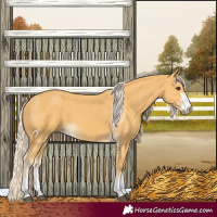 Horse Color:Palomino 