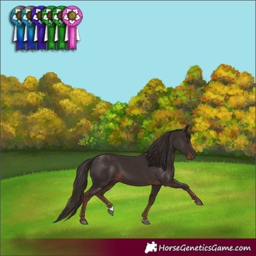 Horse Color:Liver Chestnut 