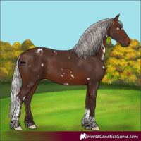 Horse Color:White Spotted Silver Brown Tobiano Rabicano