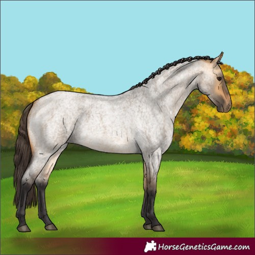 Horse Color:Buckskin Roan Dun 