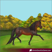 Horse Color:Brown 