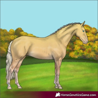 Horse Color:Cremello 