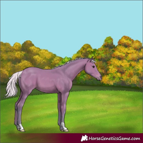 Horse Color:Watercolor Silver Bay