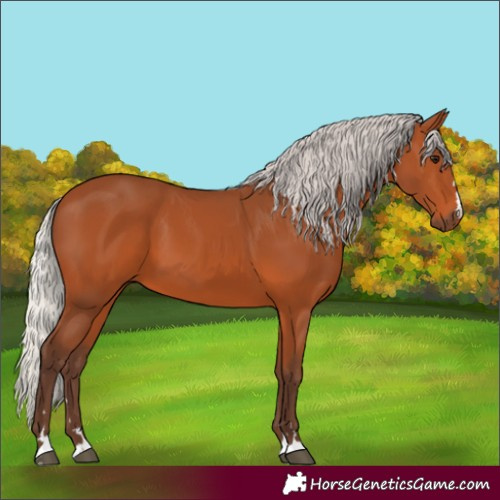 Horse Color:Silver Bay 
