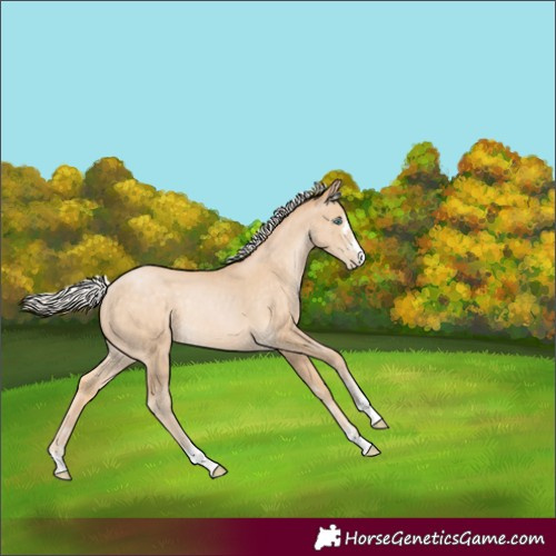 Horse Color:Silver Buckskin Pearl Rabicano 