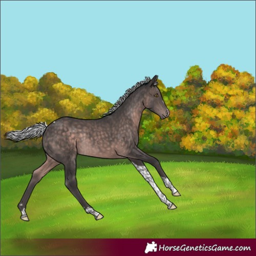Horse Color:Platinum Silver Brown Tobiano Rabicano