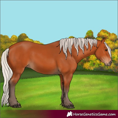 Horse Color:Silver Bay