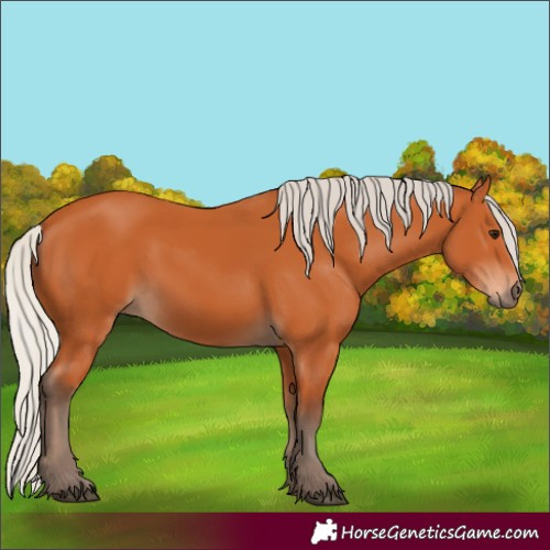 Horse Color:Silver Bay