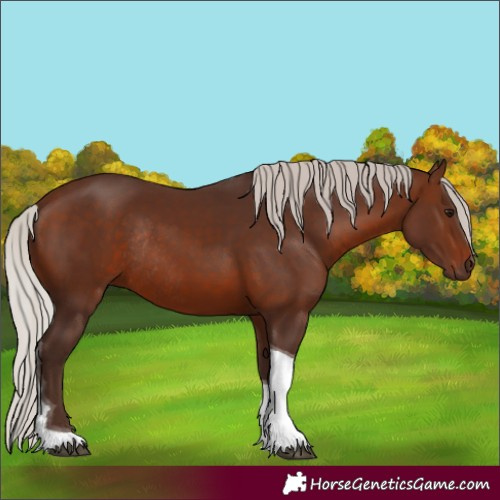 Horse Color:Silver Brown Tobiano Rabicano 