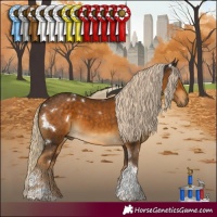 Horse Color:White Spotted Chocolate Palomino Tobiano