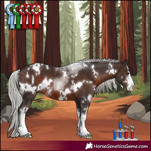 Horse Color:White Spotted Silver Brown 