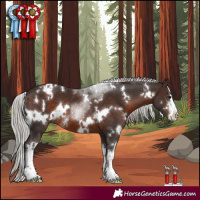 Horse Color:White Spotted Silver Brown