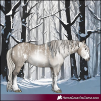 Horse Color:Powder White Gray Silver Brown Dun Sabino 