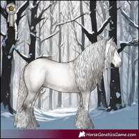 Horse Color:Powder White Gray Silver Brown Dun Sabino 