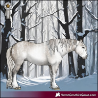 Horse Color:Powder White Gray Silver Brown Dun Sabino 