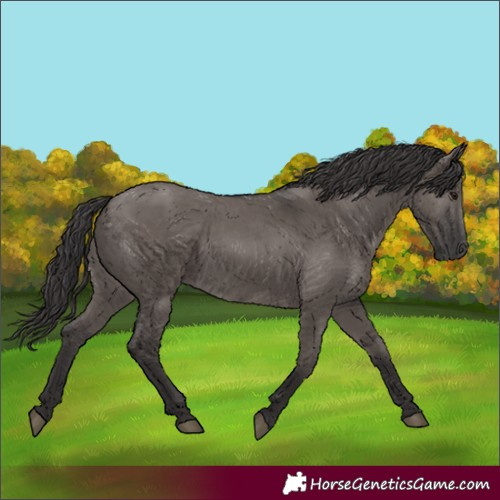 Horse Color:Smoky Grullo 