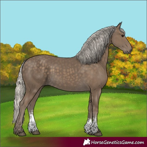 Horse Color:Silver Smoky Black Sabino 