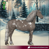 Horse Color:White Spotted Silver Smoky Black Rabicano