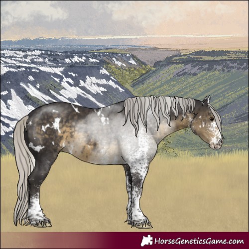 Horse Color:White Spotted Silver Smoky Black Mushroom Rabicano 
