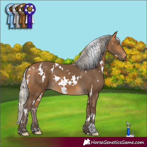 Horse Color:White Spotted Silver Buckskin 