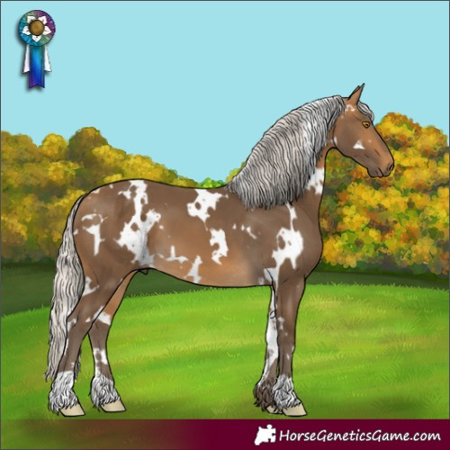 Horse Color:White Spotted Silver Buckskin 