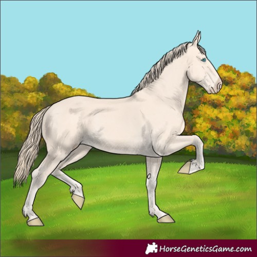 Horse Color:Perlino 