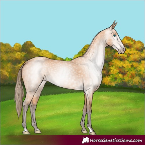 Horse Color:Gray Perlino 