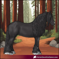 Horse Color:Smoky Black