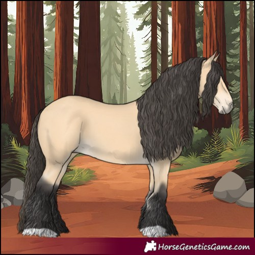 Horse Color:Buckskin 