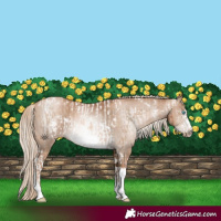 Horse Color:Chocolate Palomino Pearl Tobiano Frame  and Gray Chocolate Palomino Pearl Tobiano Frame 