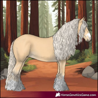 Horse Color:Palomino