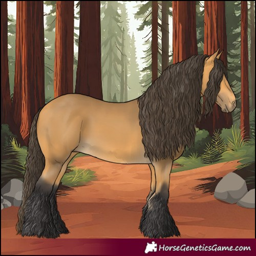 Horse Color:Buckskin 