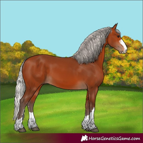 Horse Color:Silver Bay 