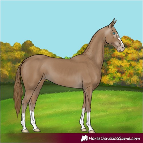 Horse Color:Gray Smoky Creme 