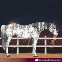 Horse Color:Grullo Sabino Rabicano 