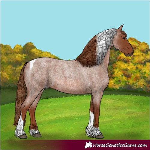 Horse Color:Red Roan Tobiano 