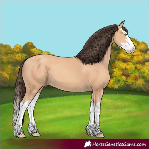 Horse Color:Amber Champagne Splash 