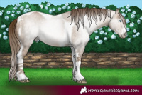 Horse Color:Gray White Spotted Buckskin Pearl Mushroom Tobiano 